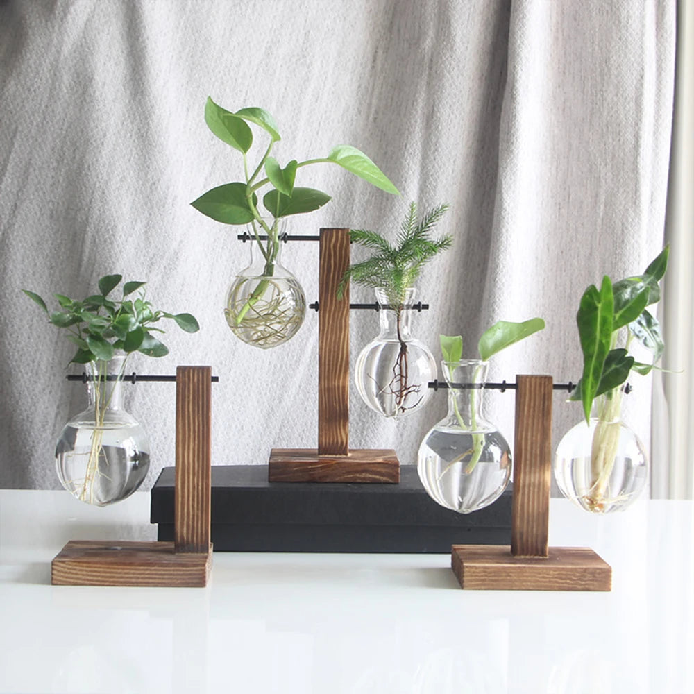 Glass Planter with Wooden Stand