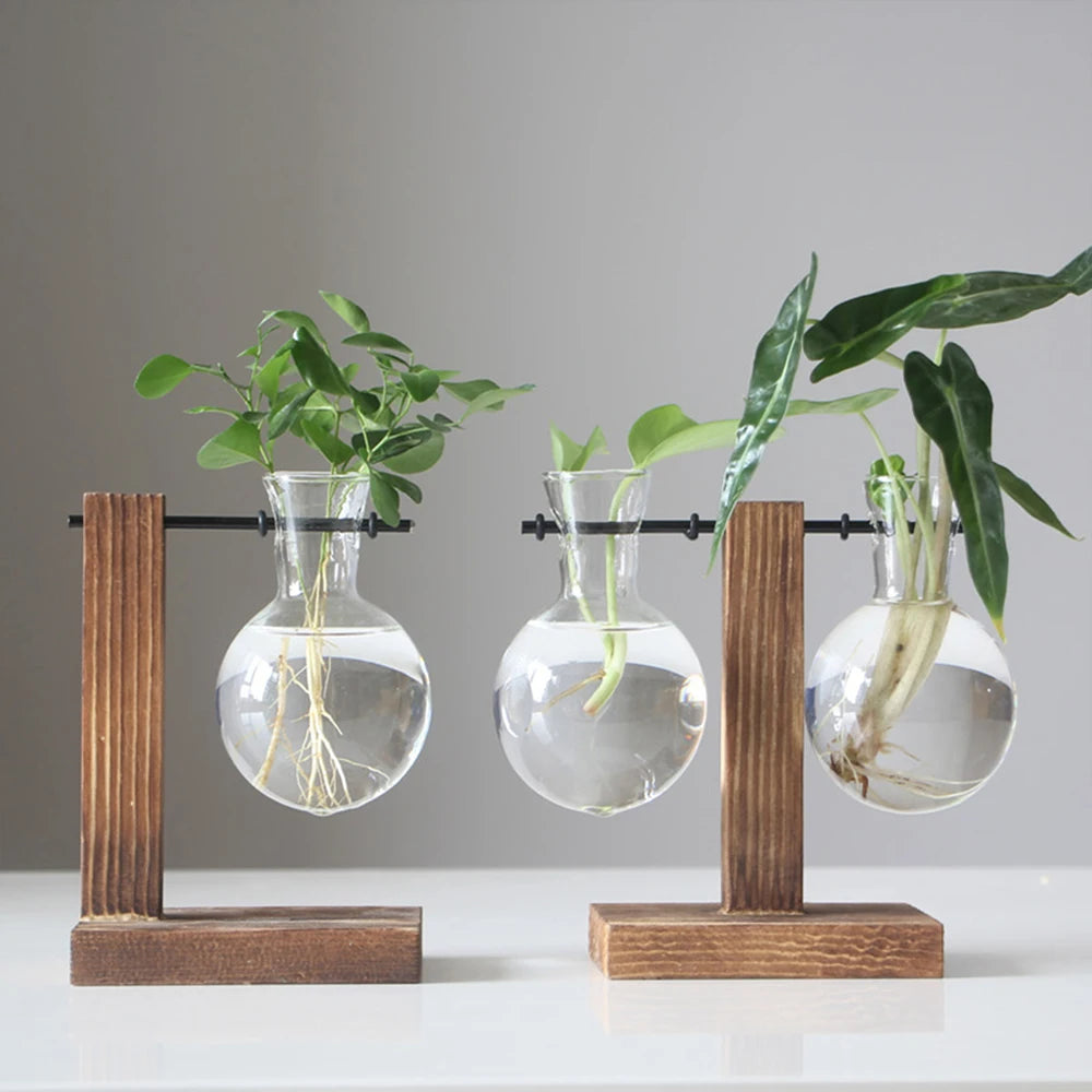 Glass Planter with Wooden Stand