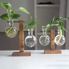 Glass Planter with Wooden Stand